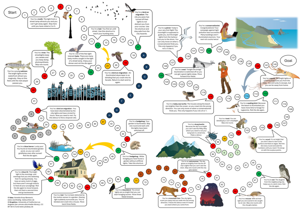 Youth for the Night 1 Light Pollution Board Game small
